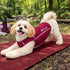 Pet Life ® Active 'Racerbark' 4-Way-Stretch Yoga Fitness Dog T-Shirt Tank Top