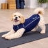 Pet Life ® Active 'Racerbark' 4-Way-Stretch Yoga Fitness Dog T-Shirt Tank Top