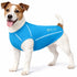 TSHL2LB