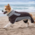 Pet Life ® Active 'Warm-Pup' Stretchy and Quick-Drying Fitness Dog Yoga Warm-Up Tracksuit