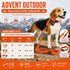 Pet Life ® 'Advent' Outdoor Series 3M Reflective 2-in-1 Durable Martingale Training Dog Leash and Collar