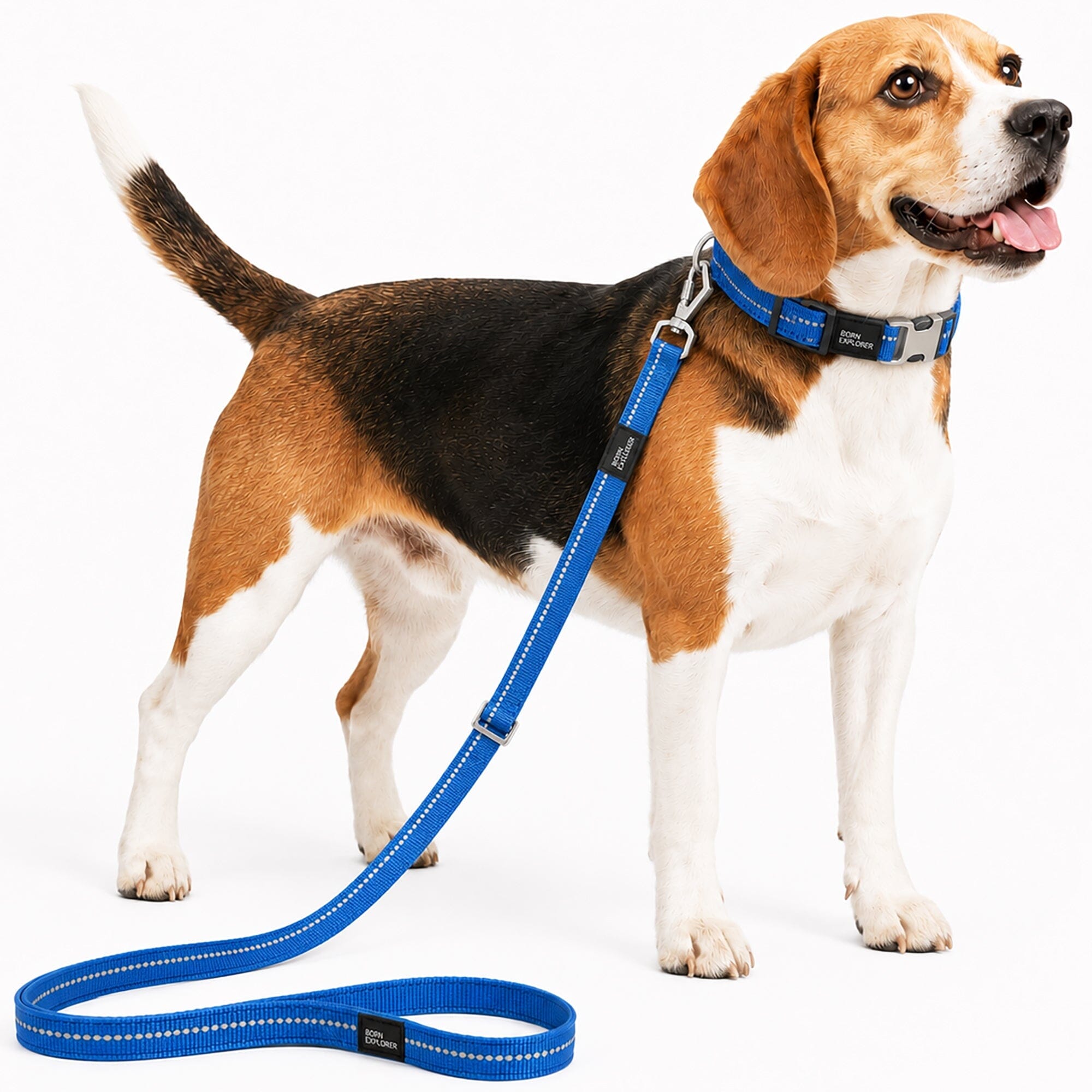 Pet Life ® 'Advent' Outdoor Series 3M Reflective 2-in-1 Durable Martingale Training Dog Leash and Collar Blue Small