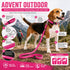 Pet Life ® 'Advent' Outdoor Series 3M Reflective 2-in-1 Durable Martingale Training Dog Leash and Collar