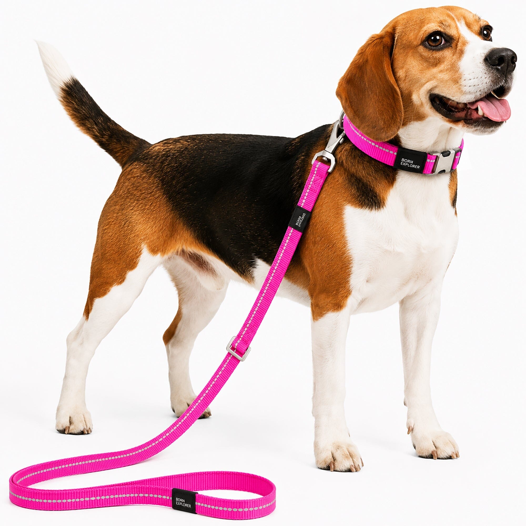 Pet Life ® 'Advent' Outdoor Series 3M Reflective 2-in-1 Durable Martingale Training Dog Leash and Collar Pink Small