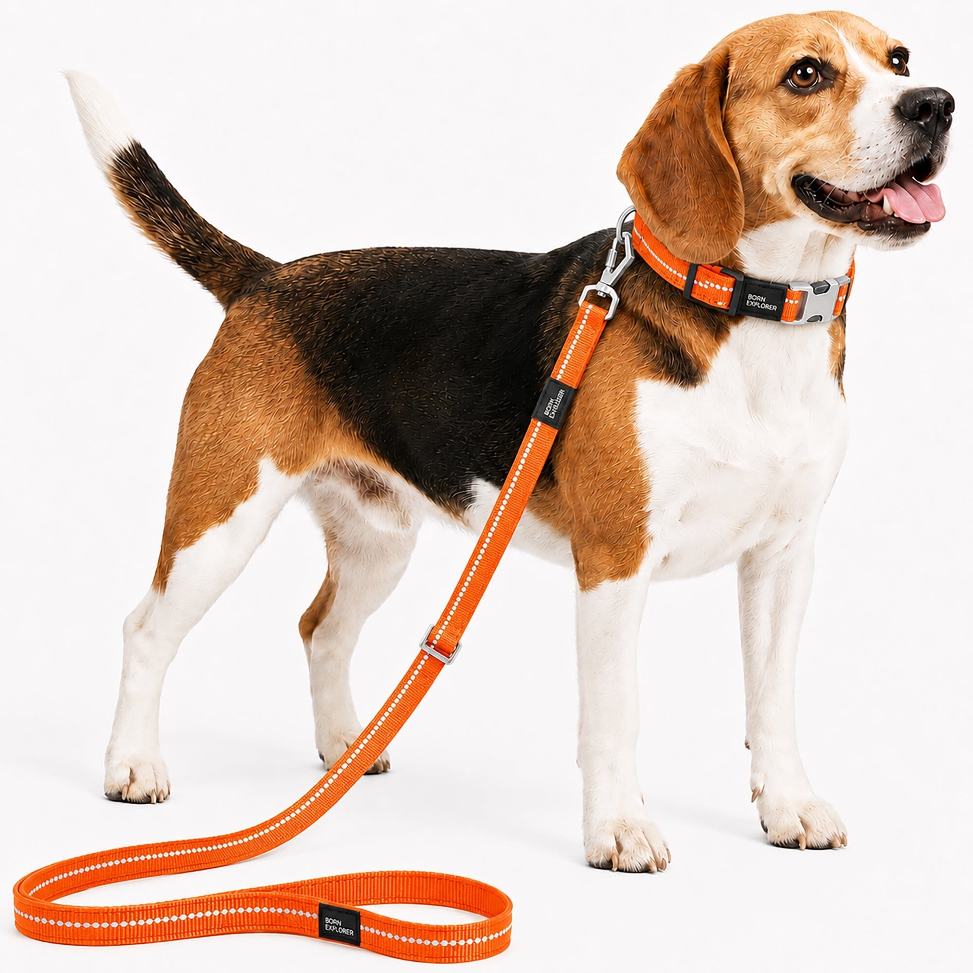 Pet Life ® 'Advent' Outdoor Series 3M Reflective 2-in-1 Durable Martingale Training Dog Leash and Collar Orange Small