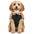 Pet Life ® 'Allegiance' Classical Insulated Plaid Fashion Dog Jacket