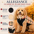 Pet Life ® 'Allegiance' Classical Insulated Plaid Fashion Dog Jacket
