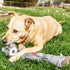 Pet Life ® Animated Extra Long Nylon Squeaker Water-resistant Plush Dog Toy