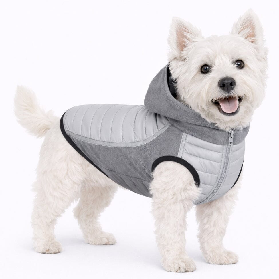 Pet Life ® 'Apex' Lightweight Hybrid 4-Season Stretch and Quick-Dry Dog Coat w/ Pop out Hood Gray X-Small