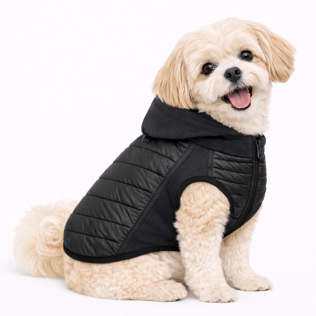 Pet Life ® 'Apex' Lightweight Hybrid 4-Season Stretch and Quick-Dry Dog Coat w/ Pop out Hood