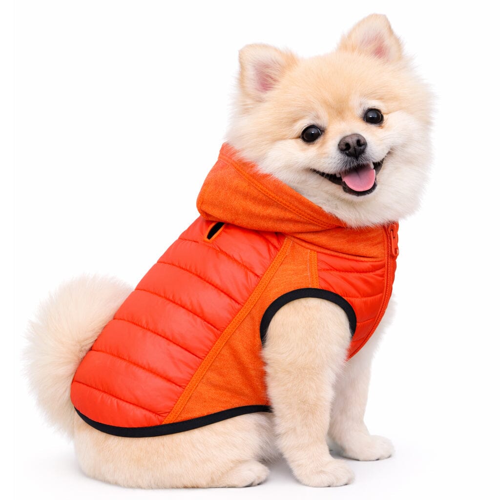 Pet Life ® 'Apex' Lightweight Hybrid 4-Season Stretch and Quick-Dry Dog Coat w/ Pop out Hood