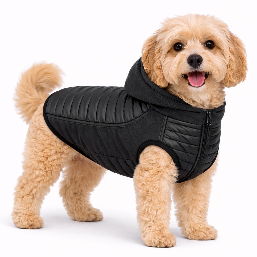 Pet Life ® 'Apex' Lightweight Hybrid 4-Season Stretch and Quick-Dry Dog Coat w/ Pop out Hood Black X-Small