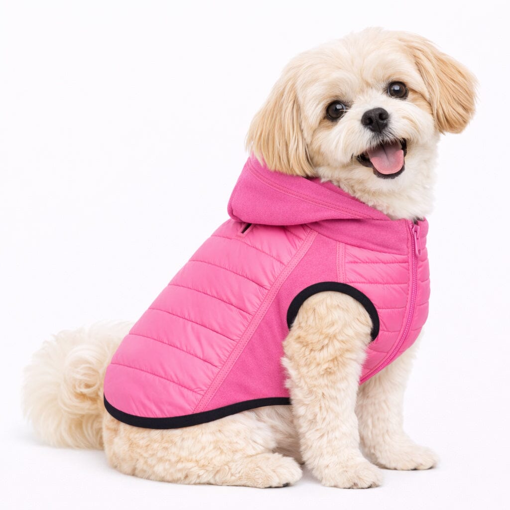 Pet Life ® 'Apex' Lightweight Hybrid 4-Season Stretch and Quick-Dry Dog Coat w/ Pop out Hood