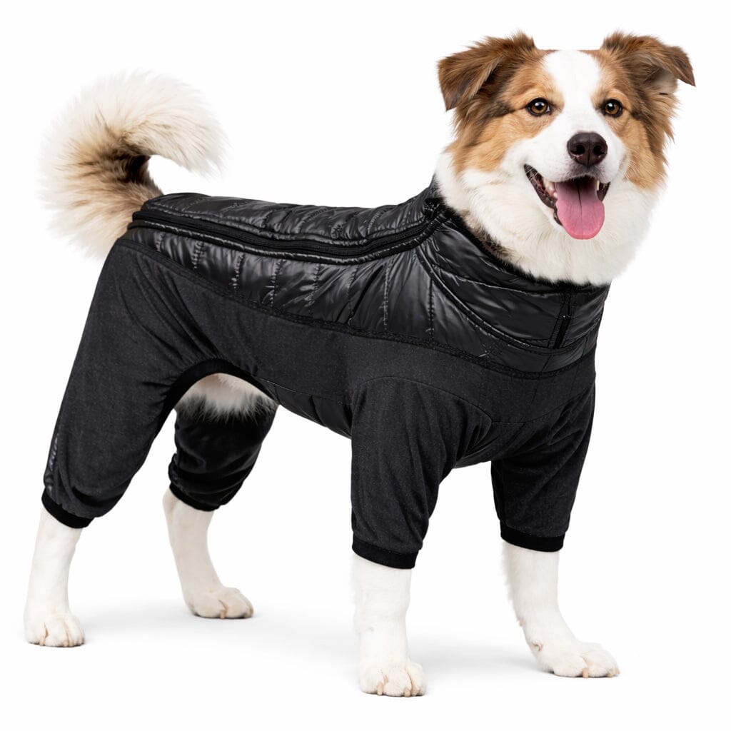Pet Life ® 'Aura-Vent' Lightweight 4-Season Stretch and Quick-Dry Full Body Dog Jacket Black X-Small