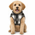 Pet Life ® 'Black Boxer' Classical Fashion Insulated Plaid Dog Coat