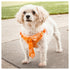 Pet Life ® 'Bonatied' Mesh Reversed Adjustable Fashion Dog Harness W/ Designer Neck Tie