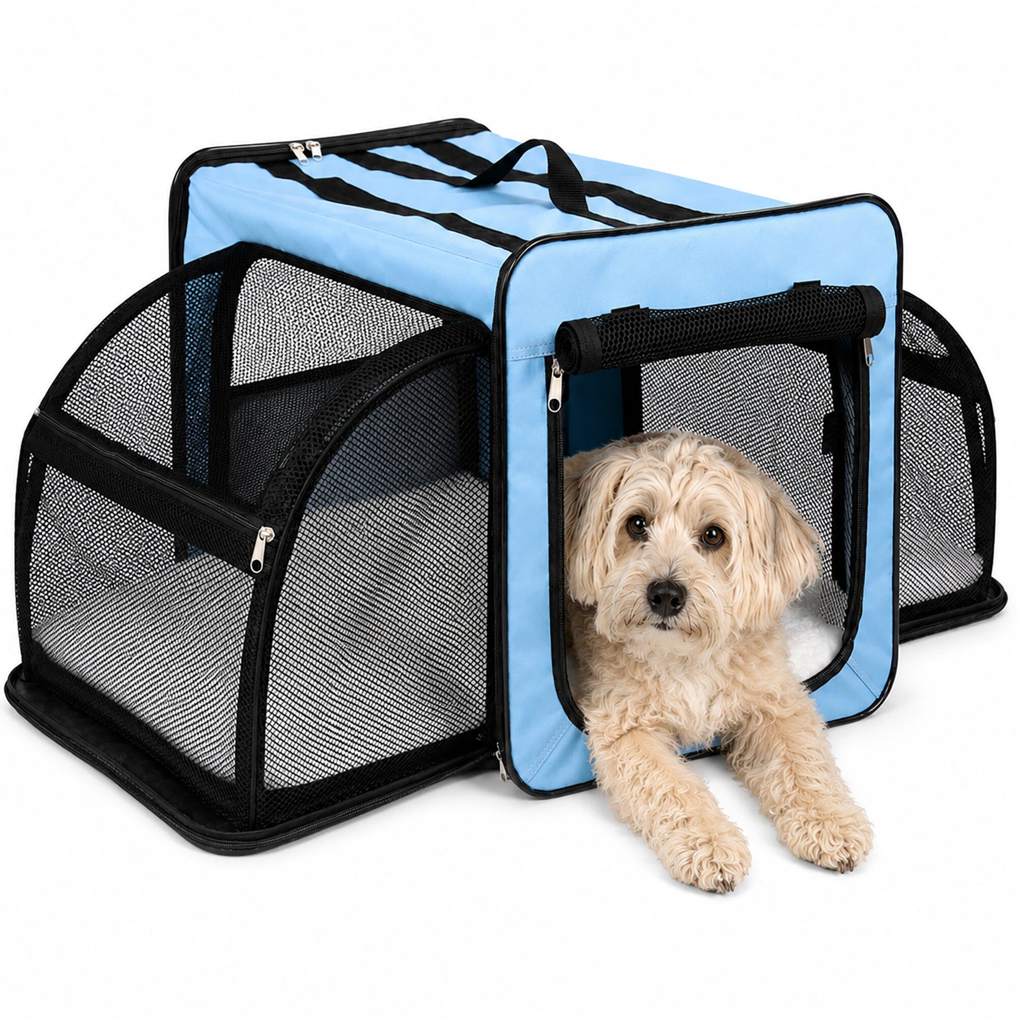 Pet Life ® 'Capacious' Dual-Sided Expandable Spacious Wire Folding Collapsible Lightweight Pet Dog Crate Carrier House Large Blue