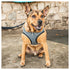 Pet Life ® 'Checkerwag' Checkered Mesh Reversed and Adjustable Fashion Dog Harness