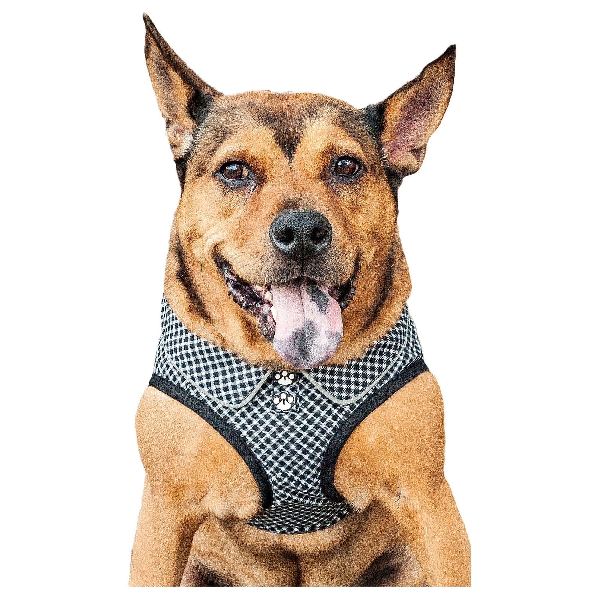 Pet Life ® 'Checkerwag' Checkered Mesh Reversed and Adjustable Fashion Dog Harness X-Small
