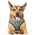 Pet Life ® 'Checkerwag' Checkered Mesh Reversed and Adjustable Fashion Dog Harness X-Small