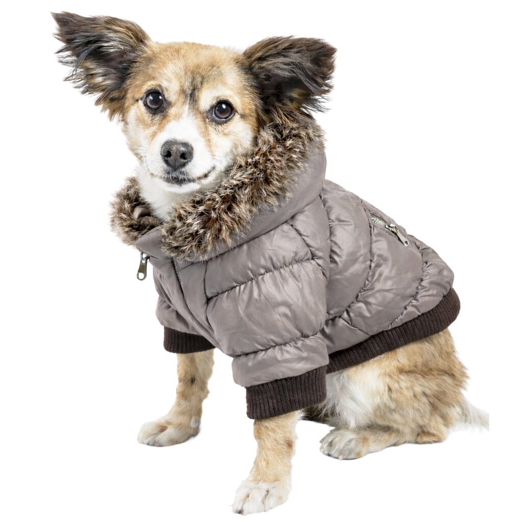 Pet Life ® Classic Metallic Fashion 3M Insulated Dog Coat Parka w/ Removable Hood X-Small Metallic Grey