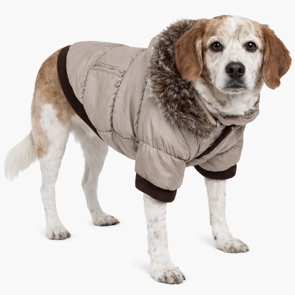 Pet Life ® Classic Metallic Fashion 3M Insulated Dog Coat Parka w/ Removable Hood