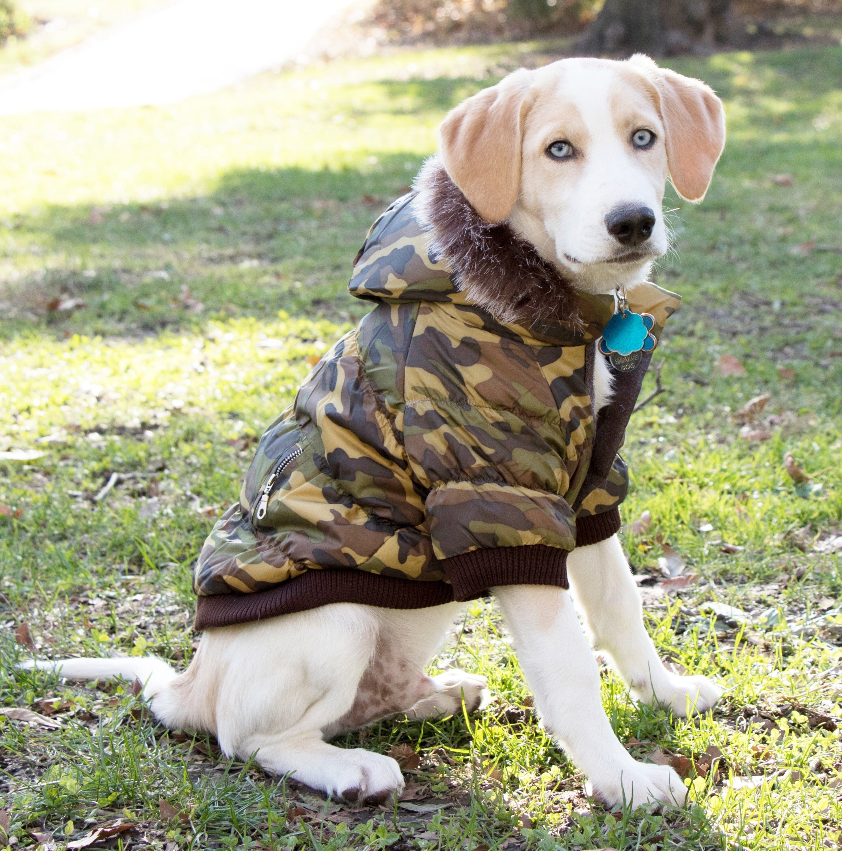 Pet Life ® Classic Metallic Fashion 3M Insulated Dog Coat Parka w/ Removable Hood