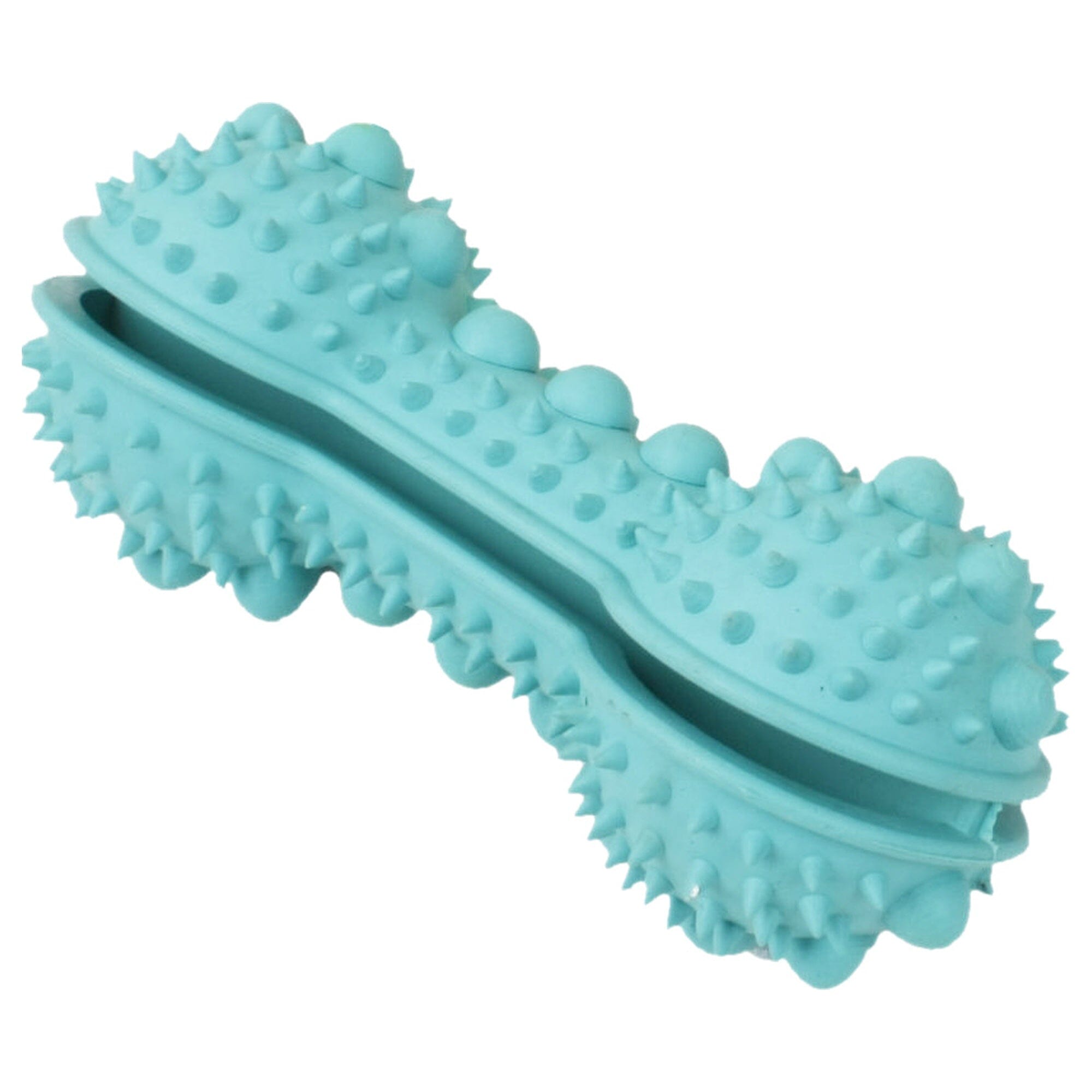 Pet Life ® 'Denta-Bone' TPR Treat Dispensing and Dental Cleaning Durable Dog Toy