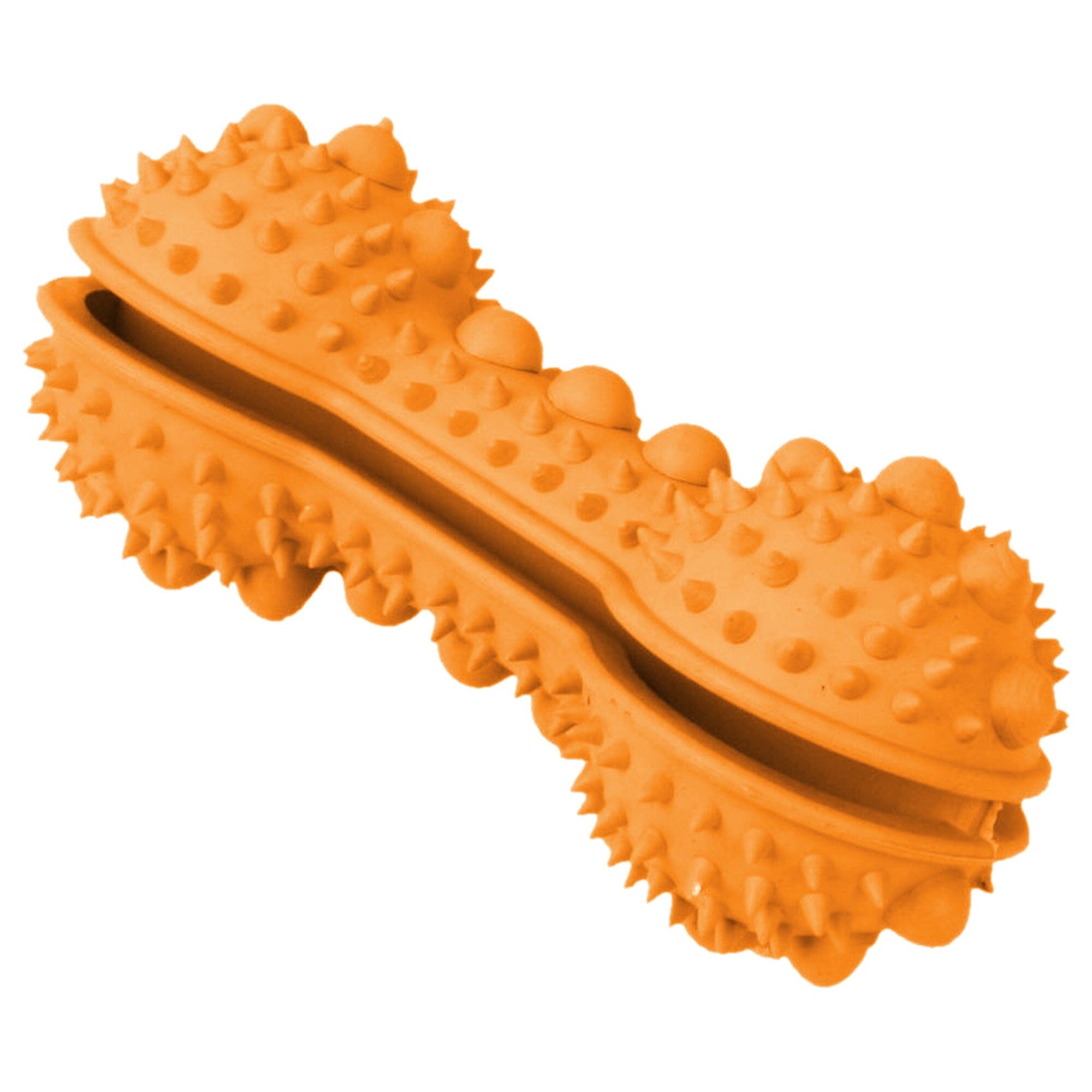 Pet Life ® 'Denta-Bone' TPR Treat Dispensing and Dental Cleaning Durable Dog Toy