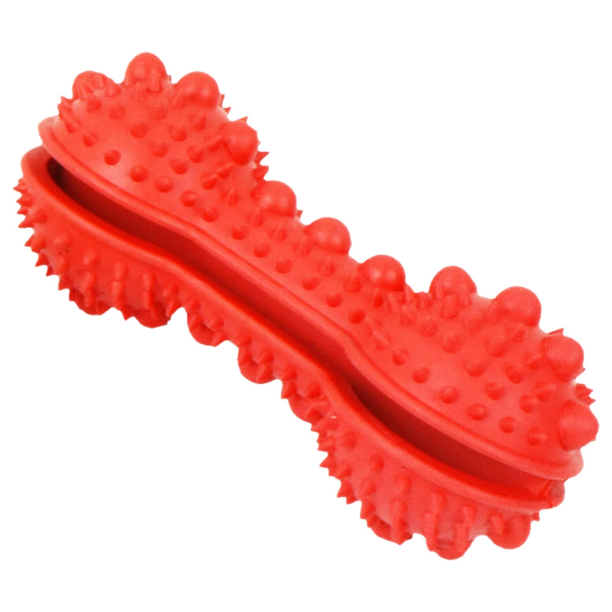 Pet Life ® 'Denta-Bone' TPR Treat Dispensing and Dental Cleaning Durable Dog Toy