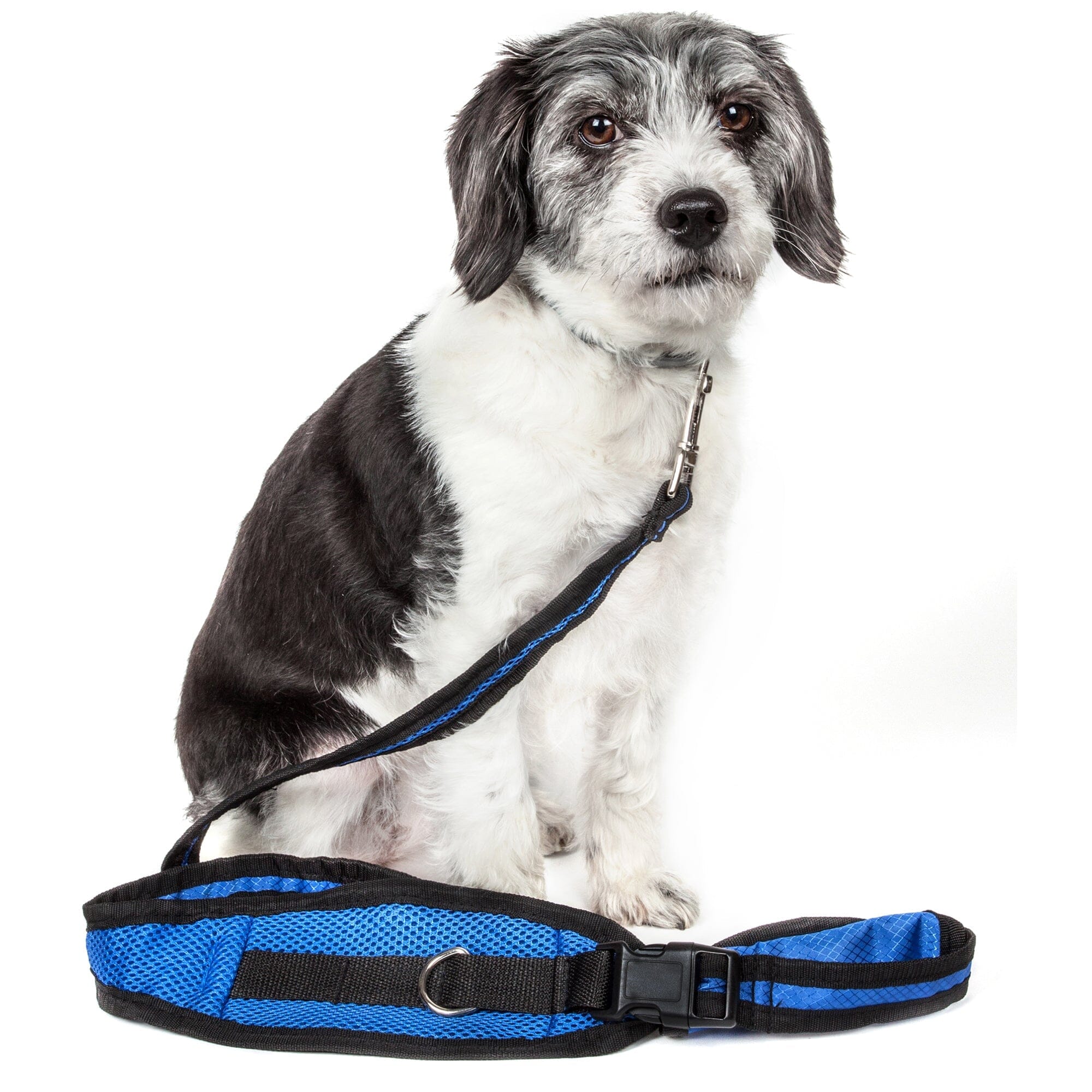 Pet Life ® 'Echelon' Hands Free and Convertible 2-In-1 Training Pet Dog Leash and Pet Belt Trainer Blue