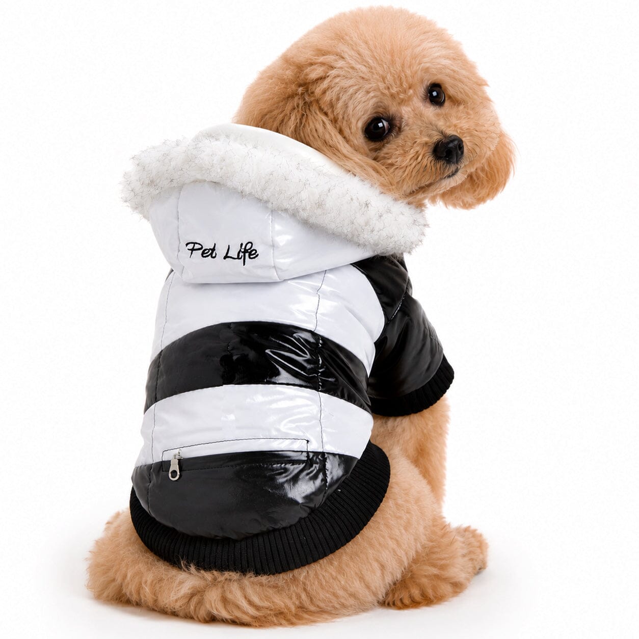 Pet Life ® Fashion Striped 3M Insulated Ultra-Plush Pet Dog Parka Coat w/ Removable Hood X-Small