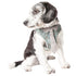 Pet Life ® 'Fidomite' Mesh Reversed and Adjustable Fashion Dog Harness W/ Designer Neck Tie