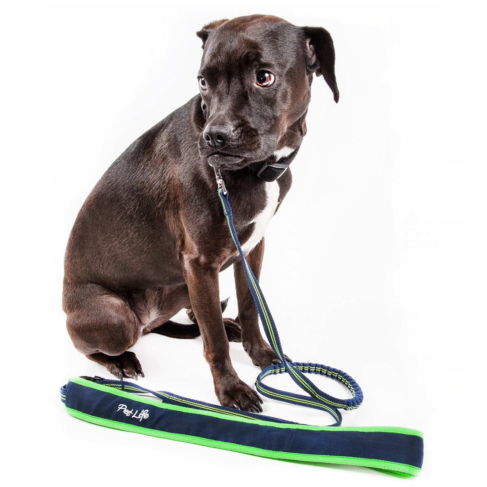 Pet Life ® 'Free-Fetcher' Hands Free Over-The-Shoulder Shock Absorbent Dog Leash Small Navy Blue