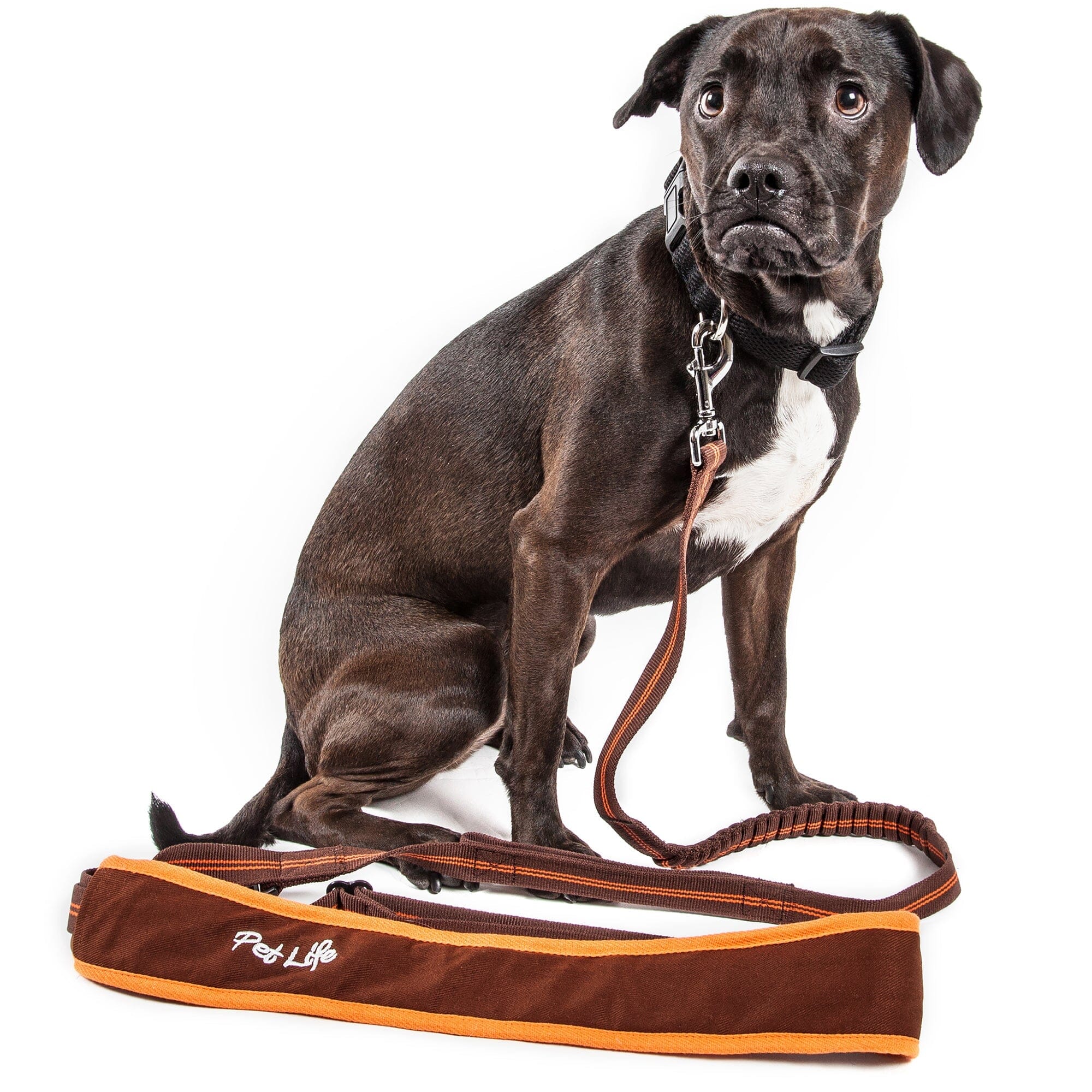 Pet Life ® 'Free-Fetcher' Hands Free Over-The-Shoulder Shock Absorbent Dog Leash Small Brown