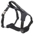 Pet Life ® 'Geo-prene' 2-in-1 Shock Absorbing Neoprene Padded Reflective Dog Leash and Harness