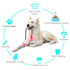 Pet Life ® 'Grip N' Play' Treat Dispensing Ball Shaped Suction Cup Dog Toy