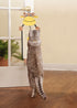 Pet Life ® Hanging Carpet Cat Scratcher Lounger and Cat Toy - 2 Piece Set