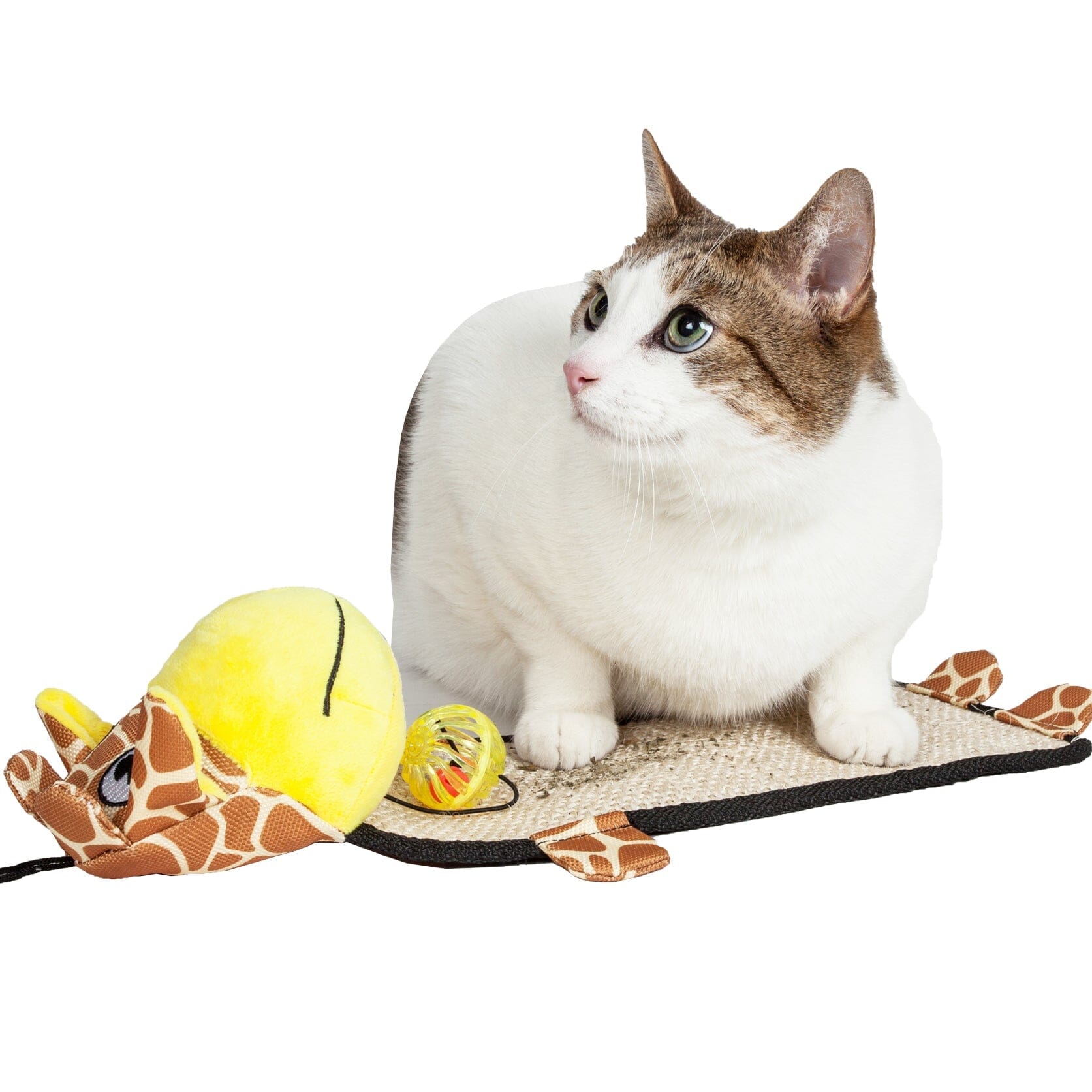Pet Life ® Hanging Carpet Cat Scratcher Lounger and Cat Toy - 2 Piece Set