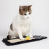 Pet Life ® Hanging Carpet Cat Scratcher Lounger and Cat Toy - 2 Piece Set