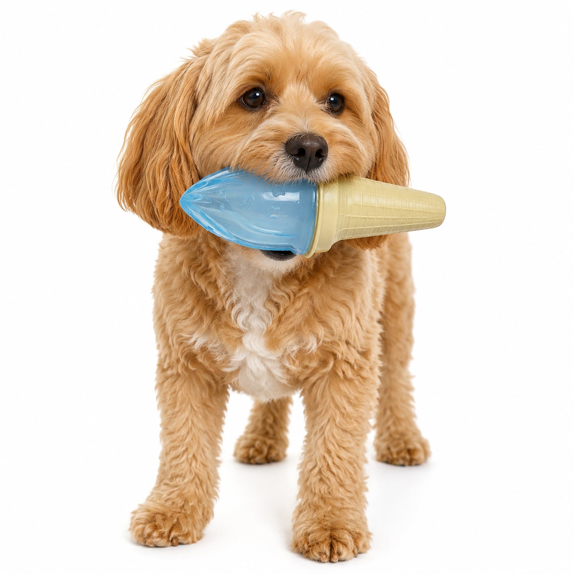 Pet Life ® 'Lick & Gnaw' Ice Cream Cone Freezable and Chewable Tossing Waterproof Floating Pet Dog Toy w/ Insertable Treat pocket