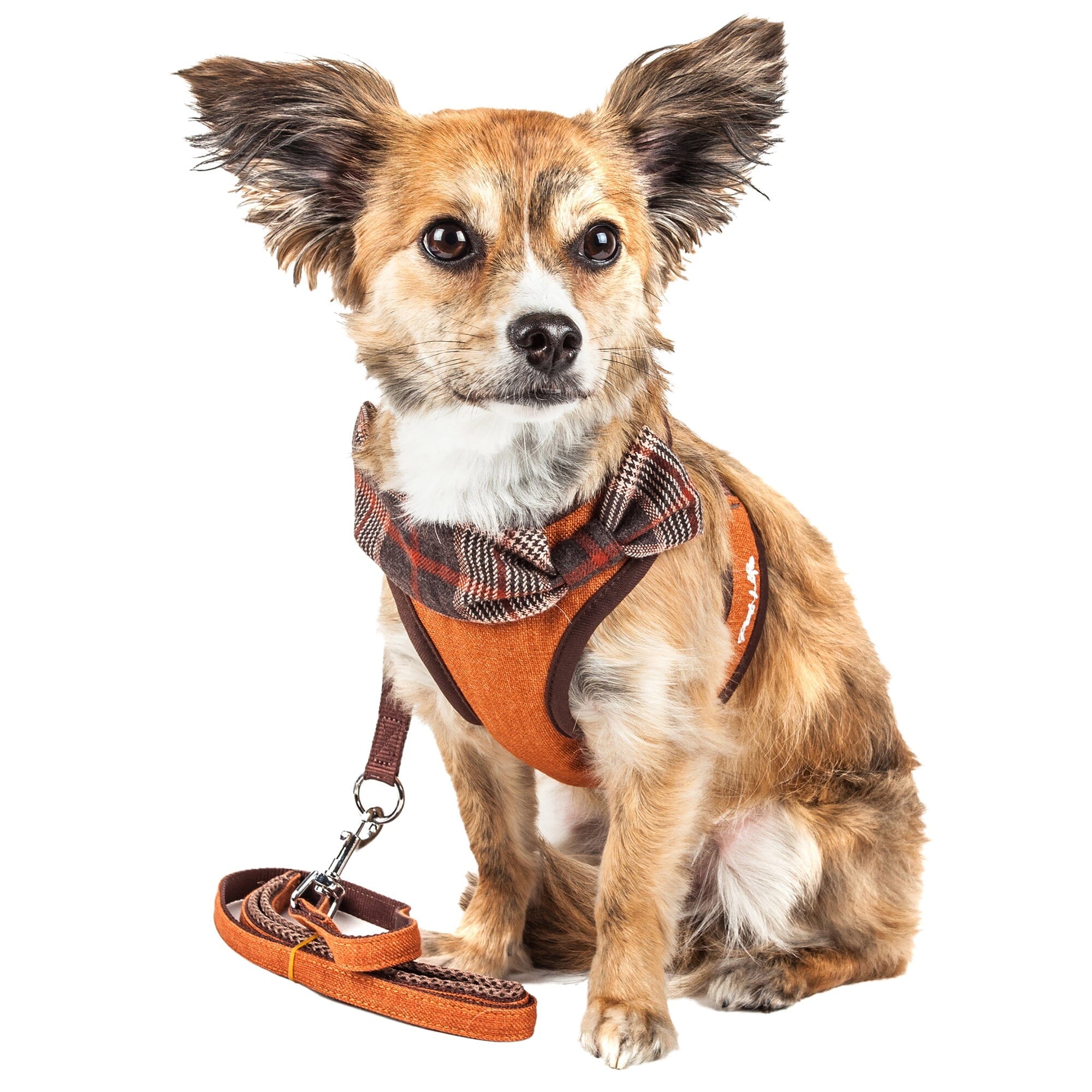 Pet Life ® Luxe 'Pawsh' 2-In-1 Adjustable Fashion Dog Harness and Leash