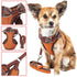 Pet Life ® Luxe 'Pawsh' 2-In-1 Adjustable Fashion Dog Harness and Leash