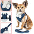 Pet Life ® Luxe 'Pom Draper' 2-In-1 Adjustable Fashion Dog Harness and Leash