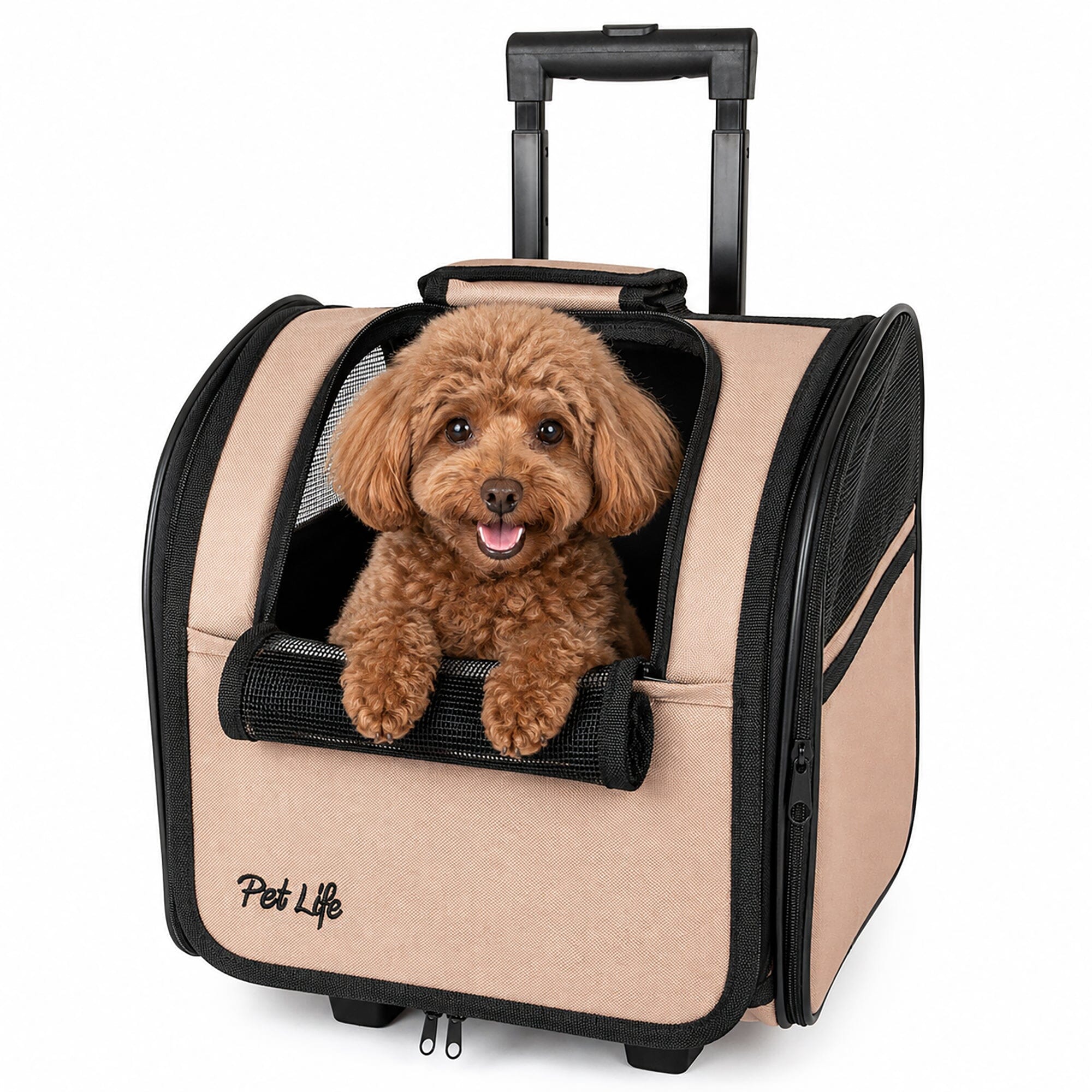Pet Life ® 'Pawdon Me ' Wheeled Airline Approved Travel Collapsible Pet Dog Carrier