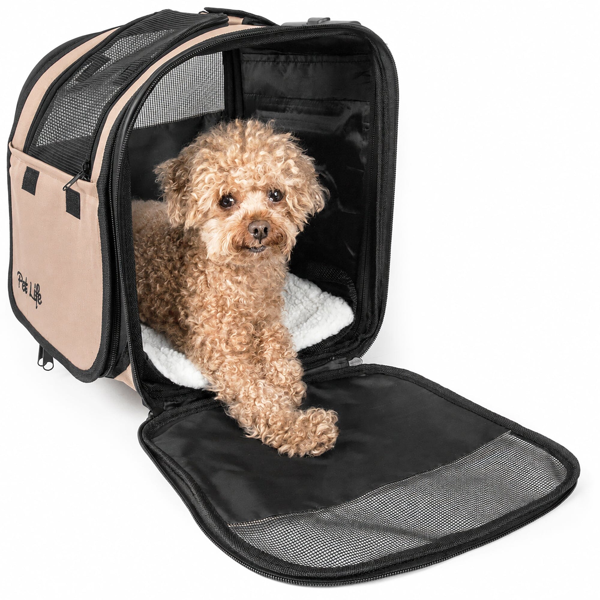 Pet Life ® 'Pawdon Me ' Wheeled Airline Approved Travel Collapsible Pet Dog Carrier
