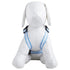 Pet Life ® 'Pocket Bark' Reflective Adjustable Fashion Pet Dog Harness w/ Hook-and-Loop Pouch and Dual Harness Rings