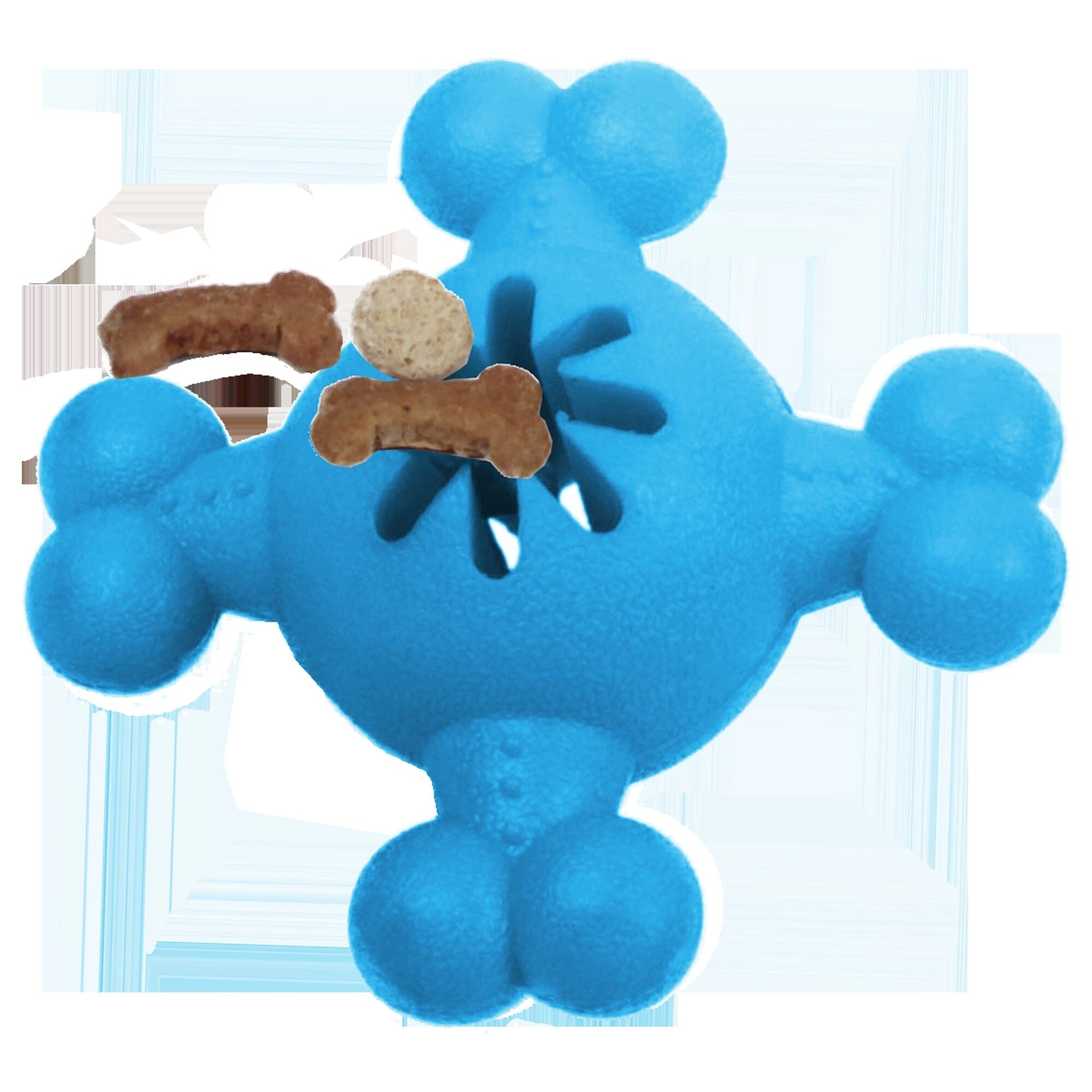 Pet Life ® 'Quadra-Bone' TPR Treat Dispensing Durable Dog Toy