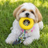 Pet Life ® Rubberized Chew Jute Rope and Tire Pet Dog Toy