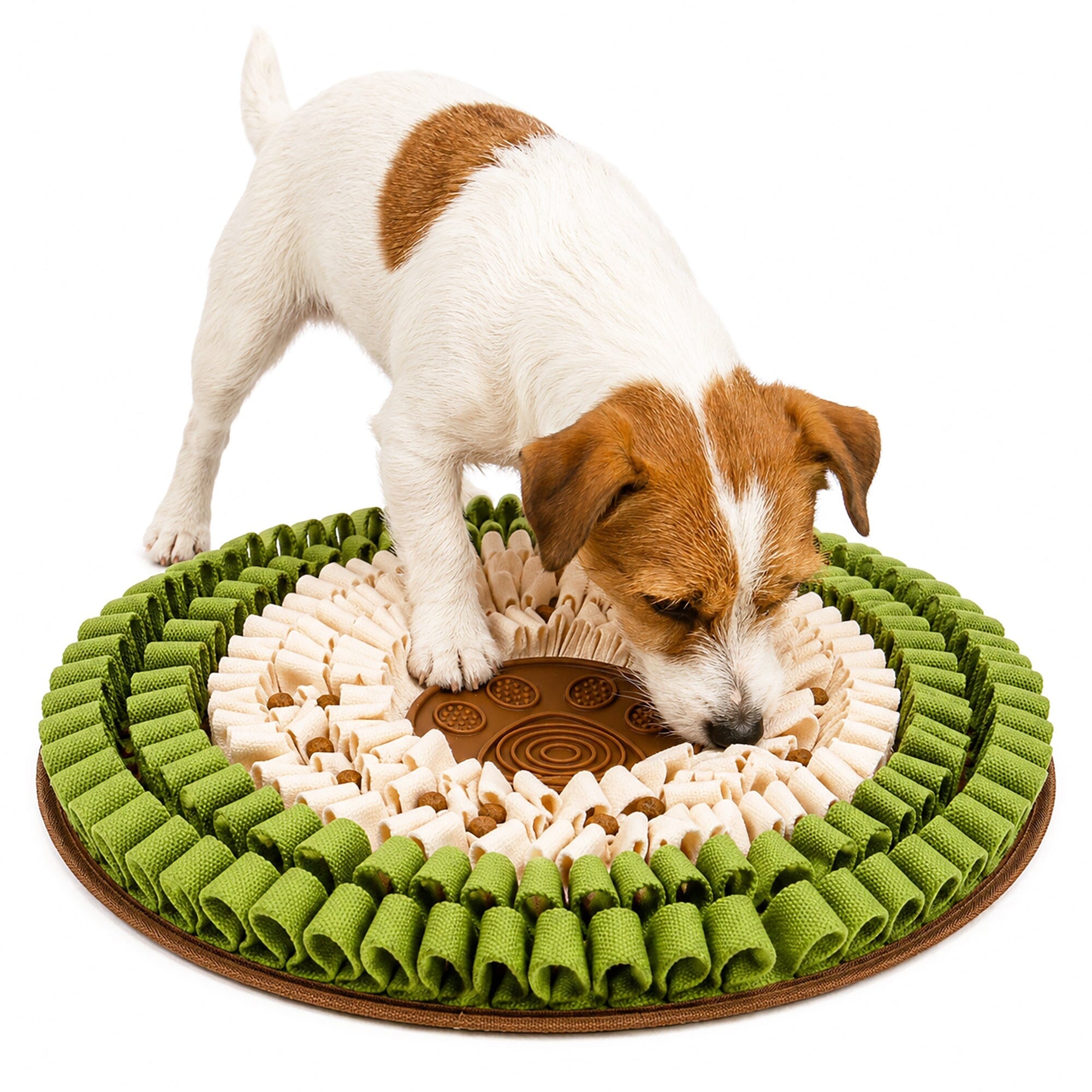 Pet Life ® “Snout-Seek” Interactive Treat Hiding and Spreading Pet Snuffle Mat